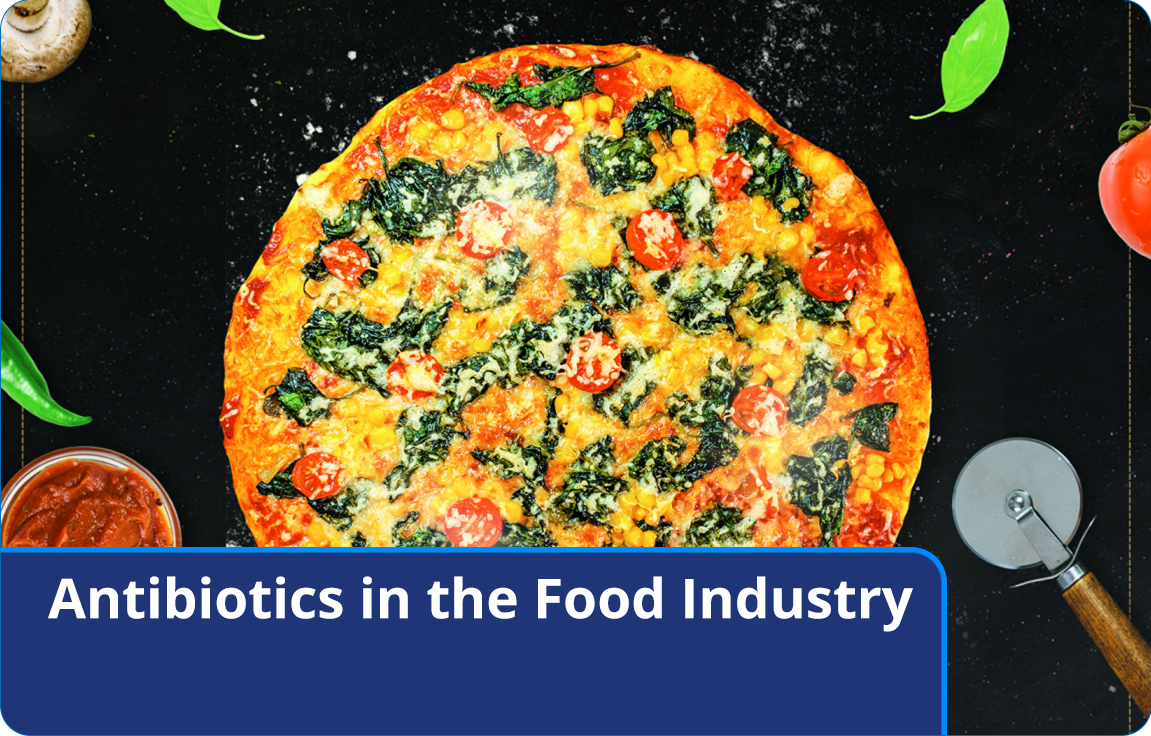 antibiotics in the food industry