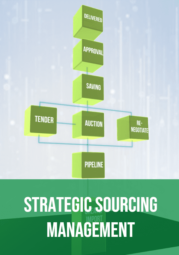 Strategic Sourcing Management video