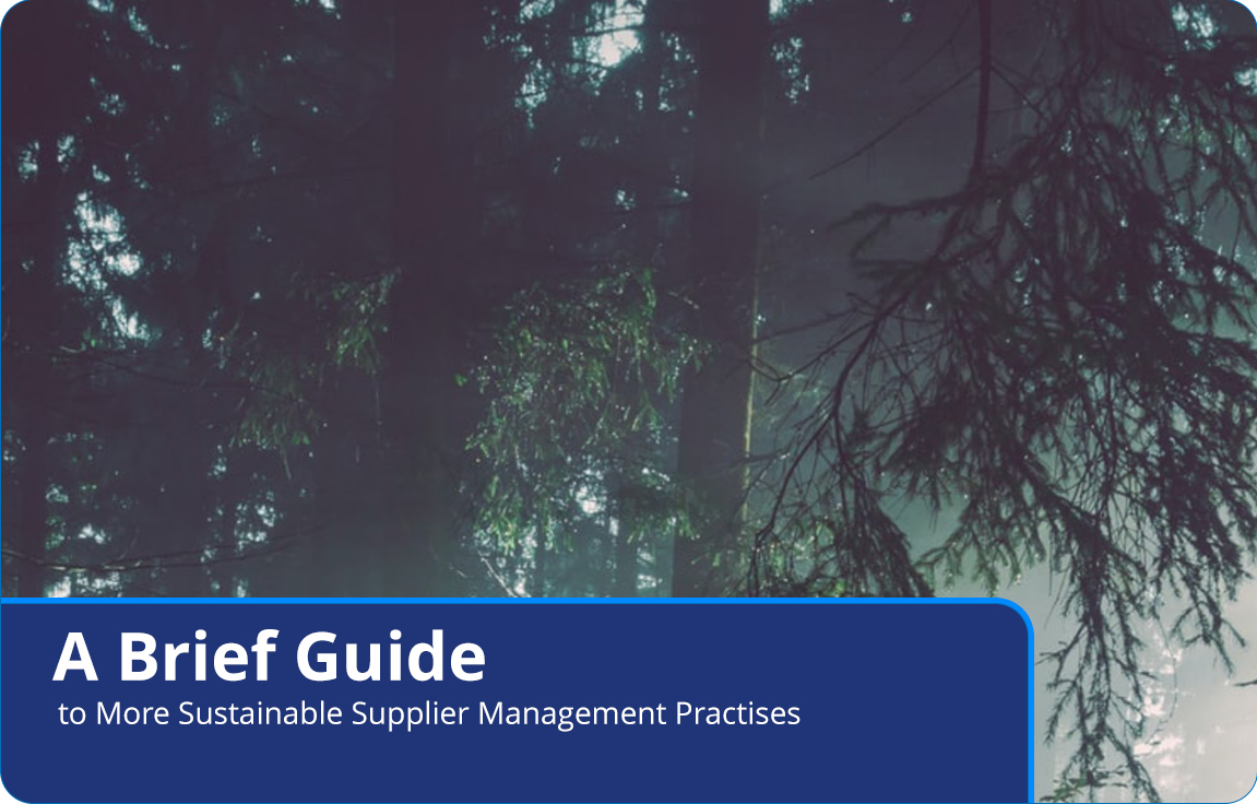 sustainable supplier management practises