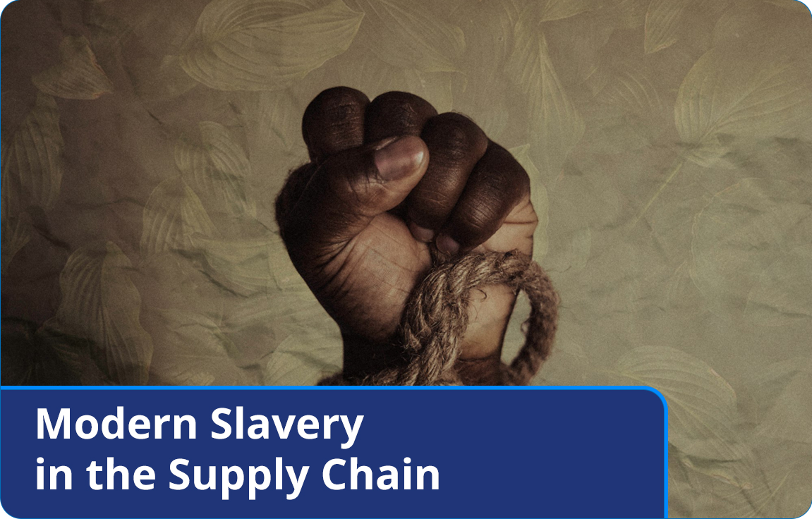 modern slavery in the supply chain