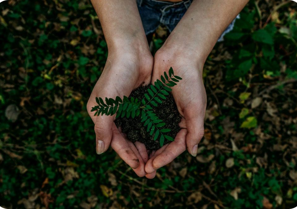Sustainable Supplier Management